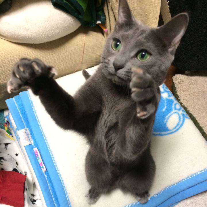 36a4dbe2 8e01 4208 a18e d18e8571db3f