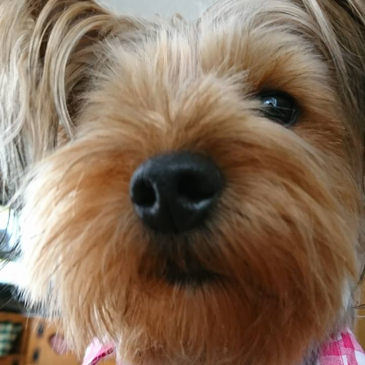 36a5264d 2c06 42a1 80d8 7a1fefd78784