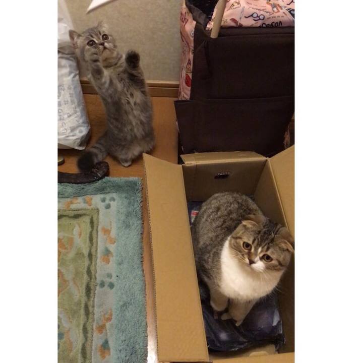 36a56e1e 512e 43c3 96ef ad10ed457b35