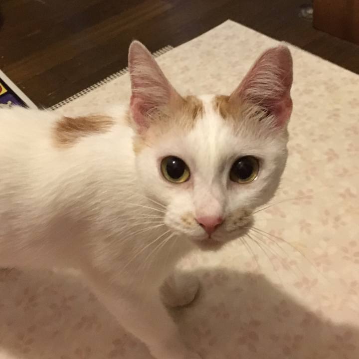 36a574e1 1b47 4745 882d 9f627afaa2a1