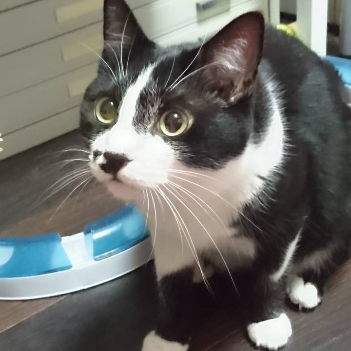 36a5a4f2 bb3b 410b afd4 489a1d3017dd