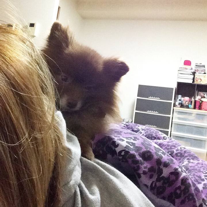 36a5bcae f80e 41b4 9c2f 3bf73c834cef