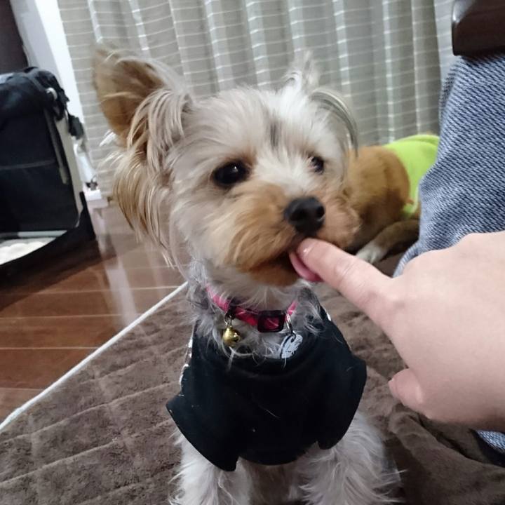 36a5e66a 59be 46a7 bf64 9478073d57e4