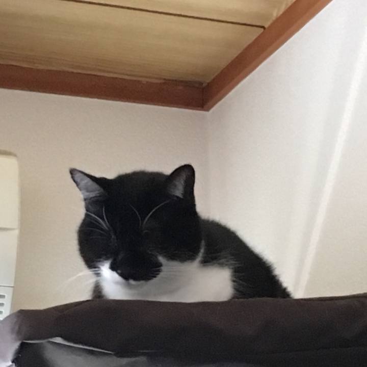 36a70a40 cc6c 4b90 b573 54bb513396fb