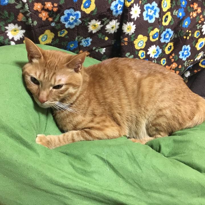 36a72cad dae9 4ed6 a62c 28d480b02b09