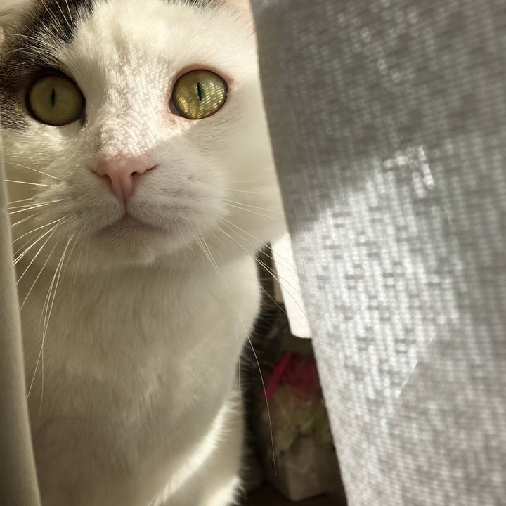 36a9445c 95d6 4c4e b92d adf302638824