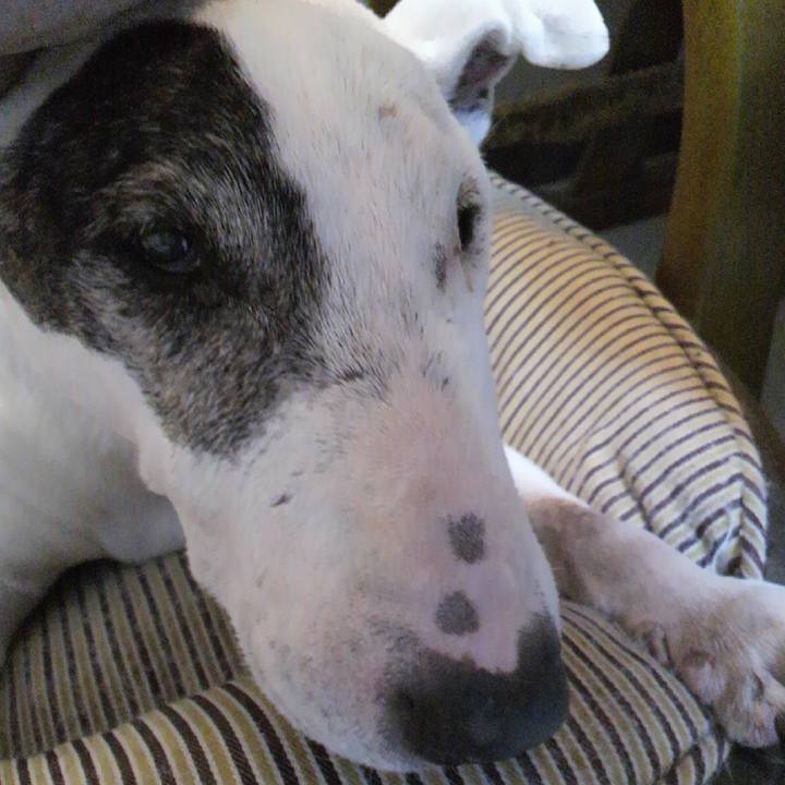 36a9579a a201 4cf0 8afb 39f10f18f683