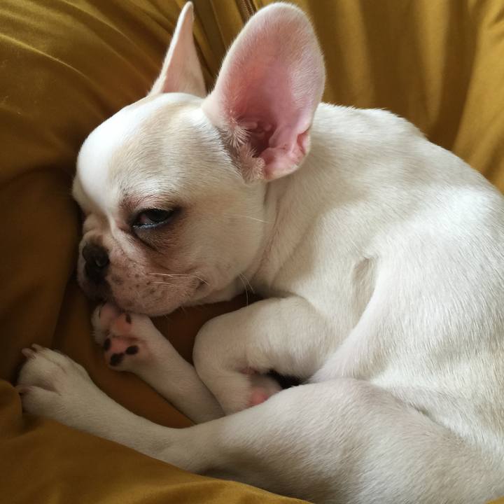 36aa4ed4 33c3 4705 b1a8 5f601932710b