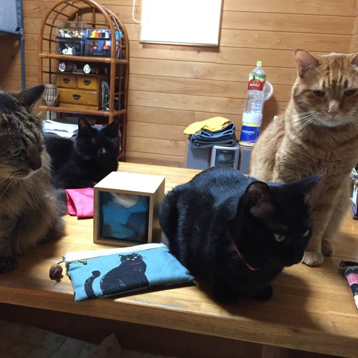 36aa902d 4151 4297 9593 14e489ab62ee