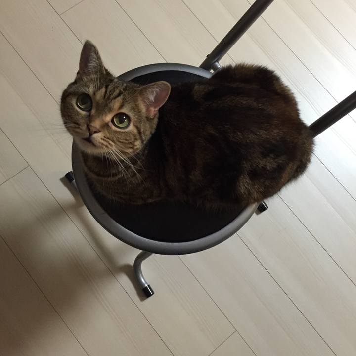 36aac99f 8e68 4438 bc68 4a96a02ed80a