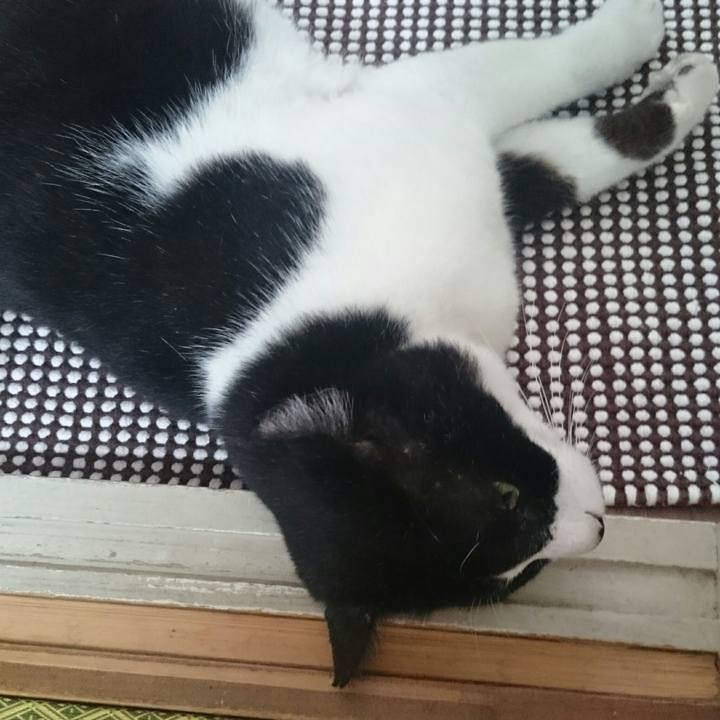 36aaeb26 d600 4a50 80c7 f07bde665108