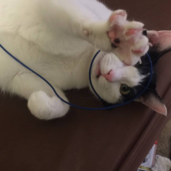 36ab7510 ba6f 4cf6 80a0 c3cd76cf1b70