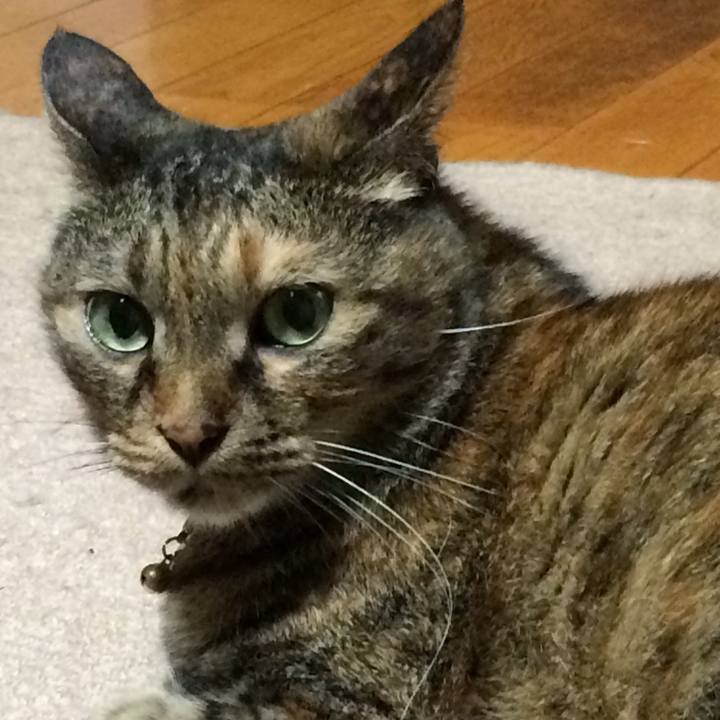 36aba59c 1f3a 42ec 9a76 3903b715ffab