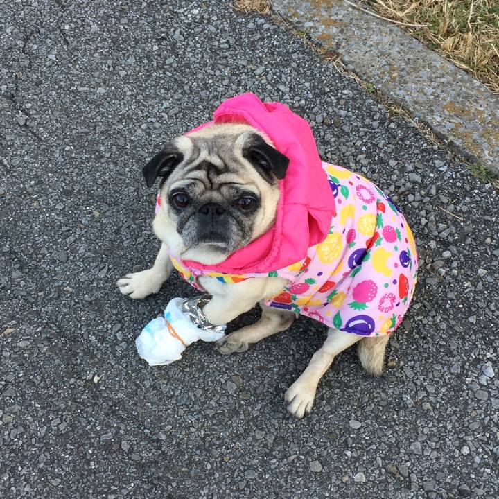 36ac38ac 8564 40f7 8bf8 747daaaef19c