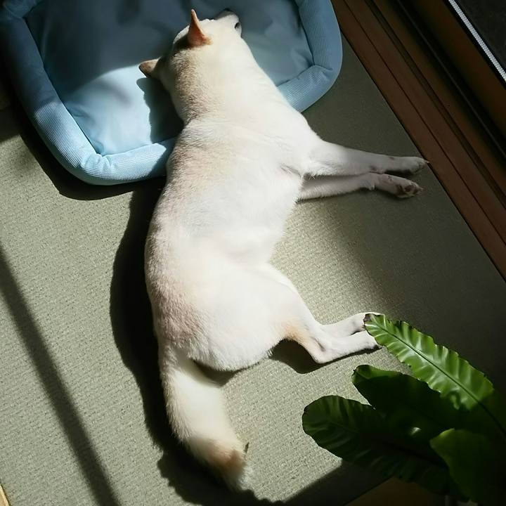 36ac3cff e5bb 479f b97f 6b805f302320