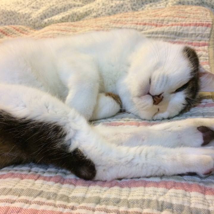 36ac503b b122 4d20 b268 898da6297580