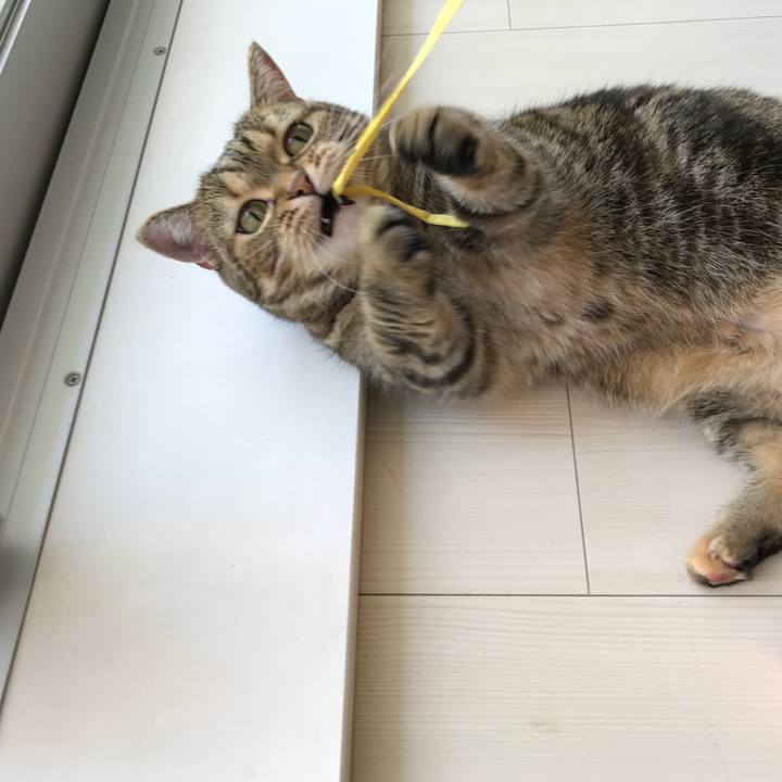 36ad23b6 dc65 4ea3 bcbd c5b86c197ade