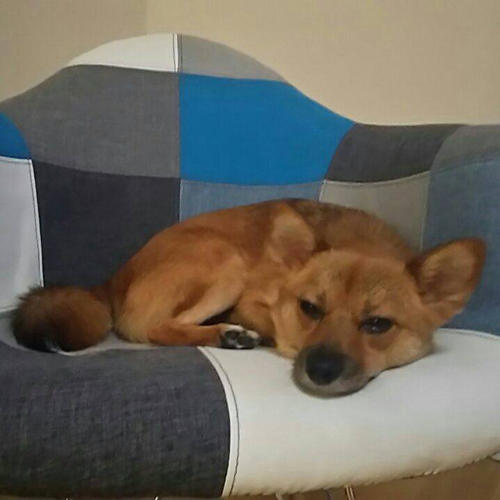 36ad28b9 8791 4429 a840 41c5d2e270c4