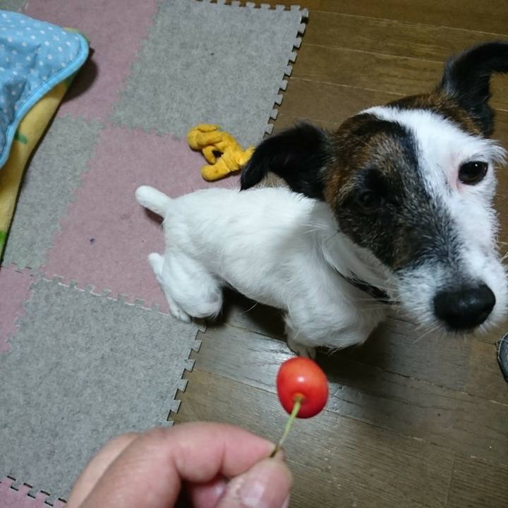 36ad7941 667c 4e89 939e 786ef971dc51