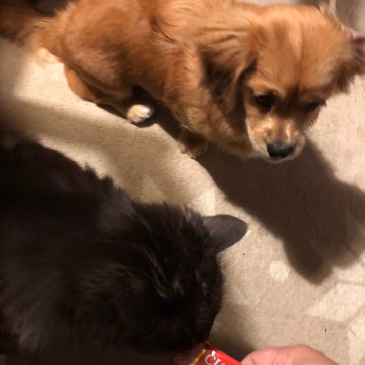 36ad9046 8f75 4500 8248 326c9d04118e