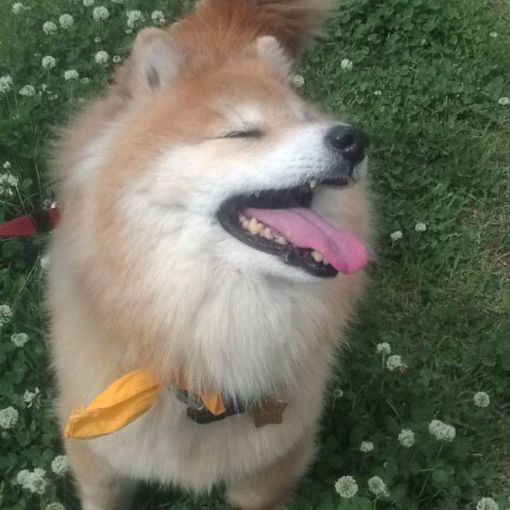 36ae6fdb f3b5 4a06 b069 0f620b1d1e04