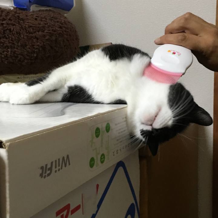 36af4111 d027 480d 8491 622135968736