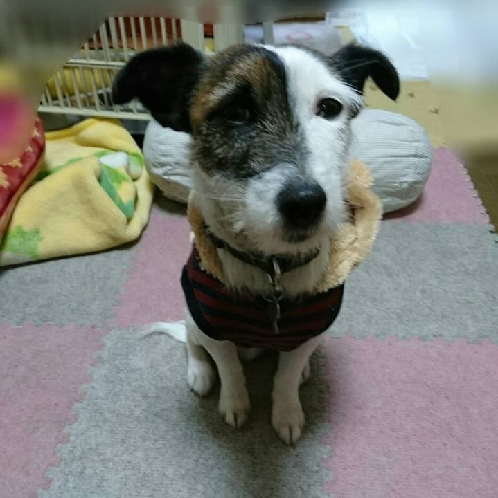 36aff997 cf25 49f4 a212 3f6e17b15a0e