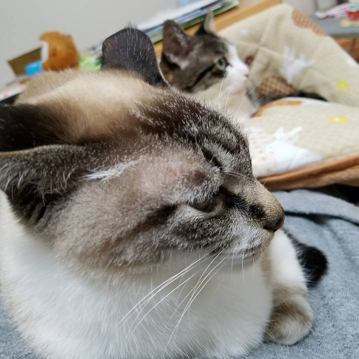 36b09807 5072 49af b94c 38bef2f90ad2