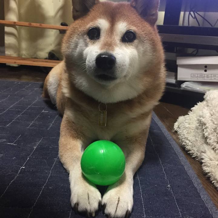 36b0e5cf 7d42 4545 915f 27fce01981b8