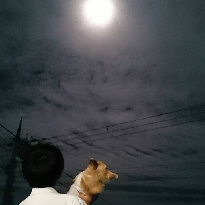 36b1091a 5560 4a6d 8bd8 c9f81cbdf92a