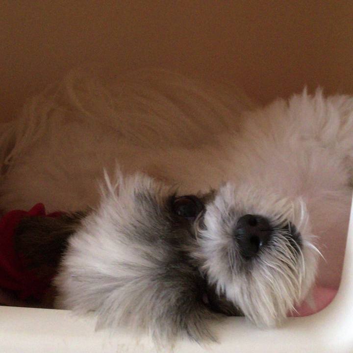 36b20c60 145b 40b6 b5f4 5ac0d1677bc8