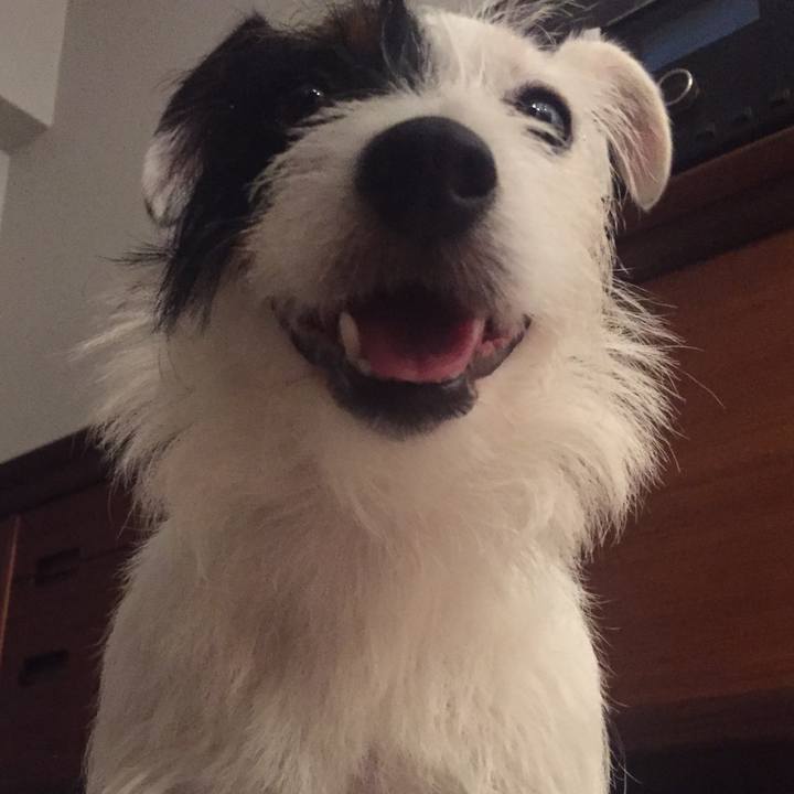 36b29422 ec05 423f 99ea 5458409fab1a