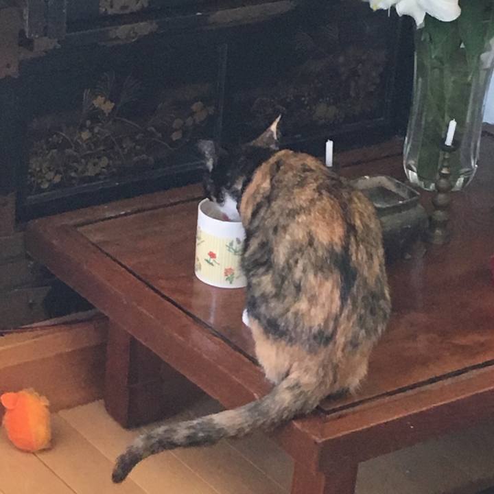 36b389c4 c22f 4b09 b81a b6baf1afe046