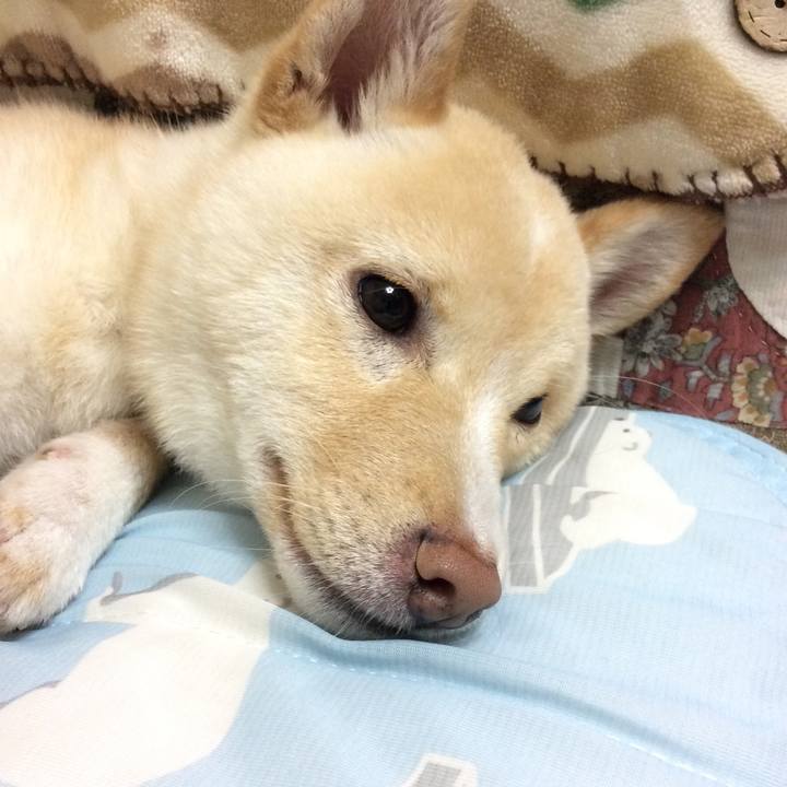 36b397ac 9b8b 4d7b 9b21 a1092a76ddc8