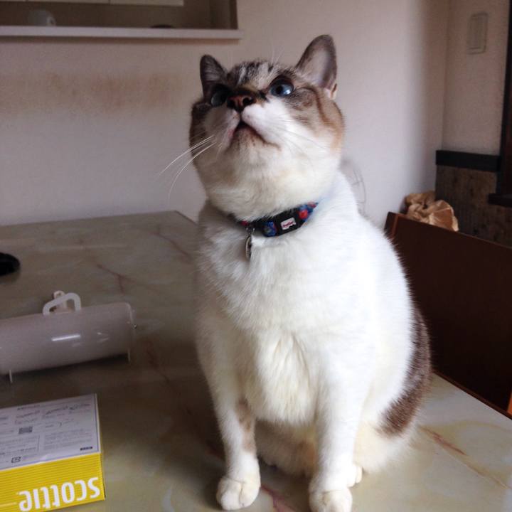 36b3c111 6079 4bcc b540 86ca5642c1f0