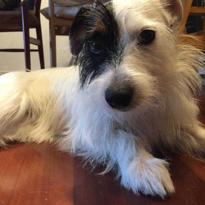 36b42cea 3b34 4d18 85bc 44aed1c3d524