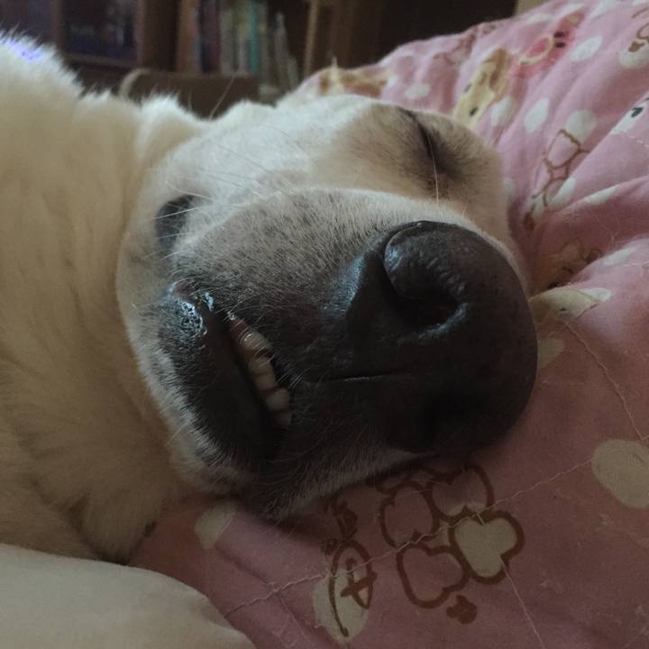 36b4307f a4f8 49ad a7bd 754623ccc29e