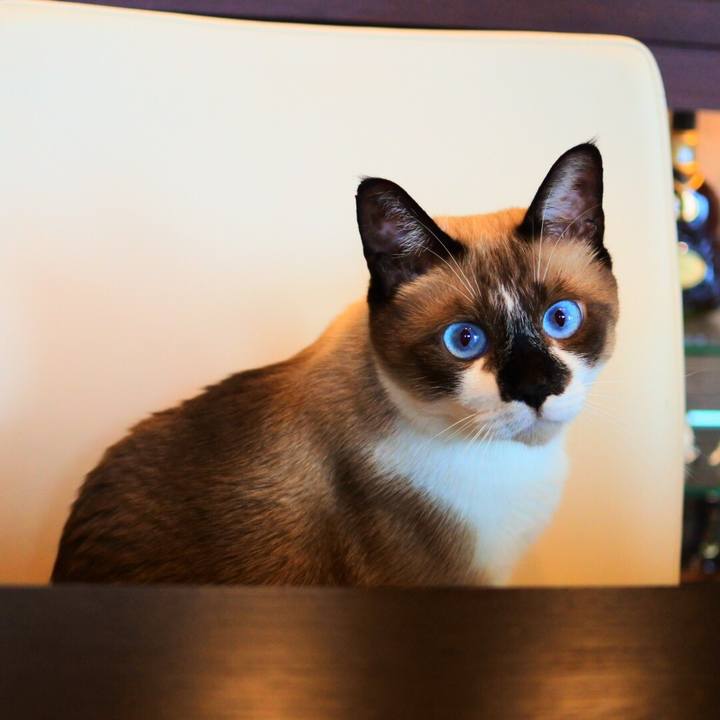 36b439e4 02ad 4170 b1f9 a81a0373fa53