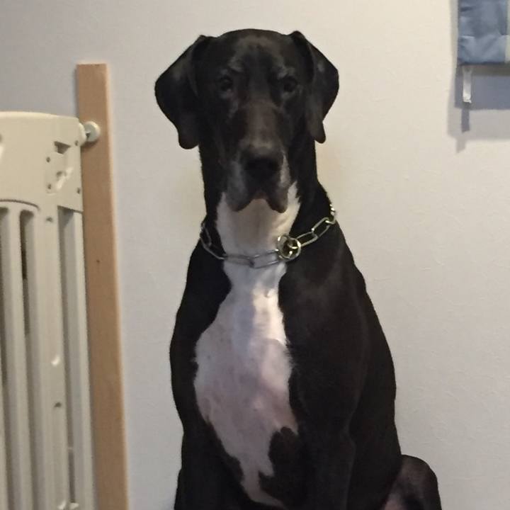 36b44667 8661 4eb3 a791 c390a4c12b10