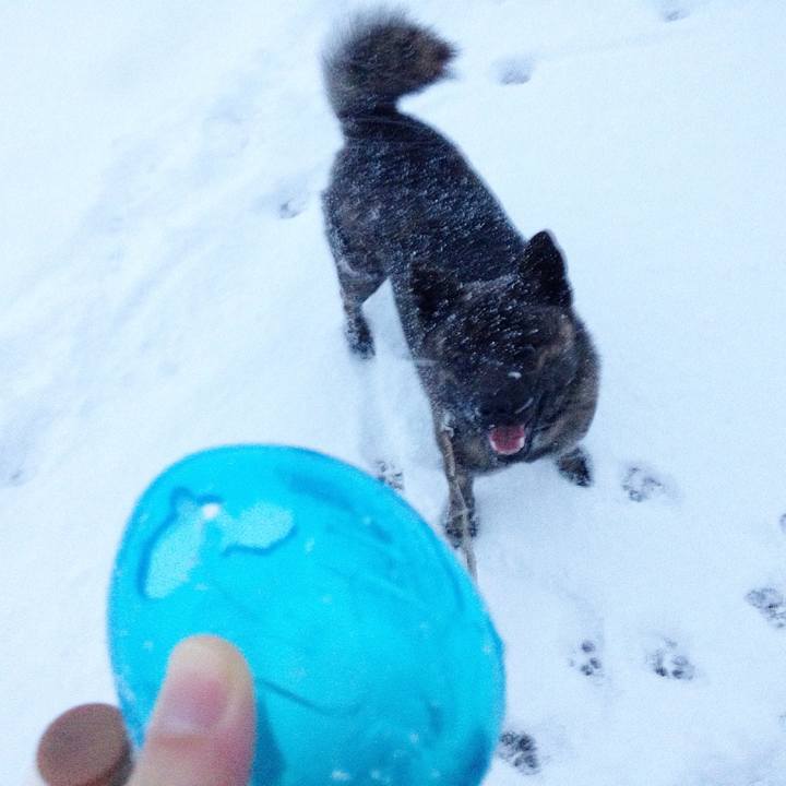 36b47107 2779 4499 a297 7d3a9f06fb31