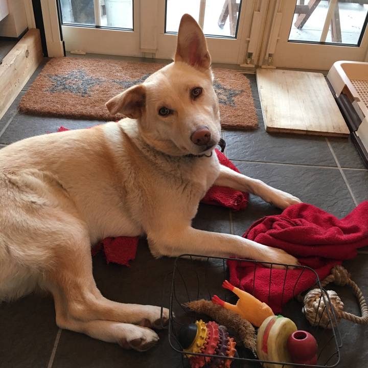 36b4f5c9 8f44 4074 976b ab23f2a819d7