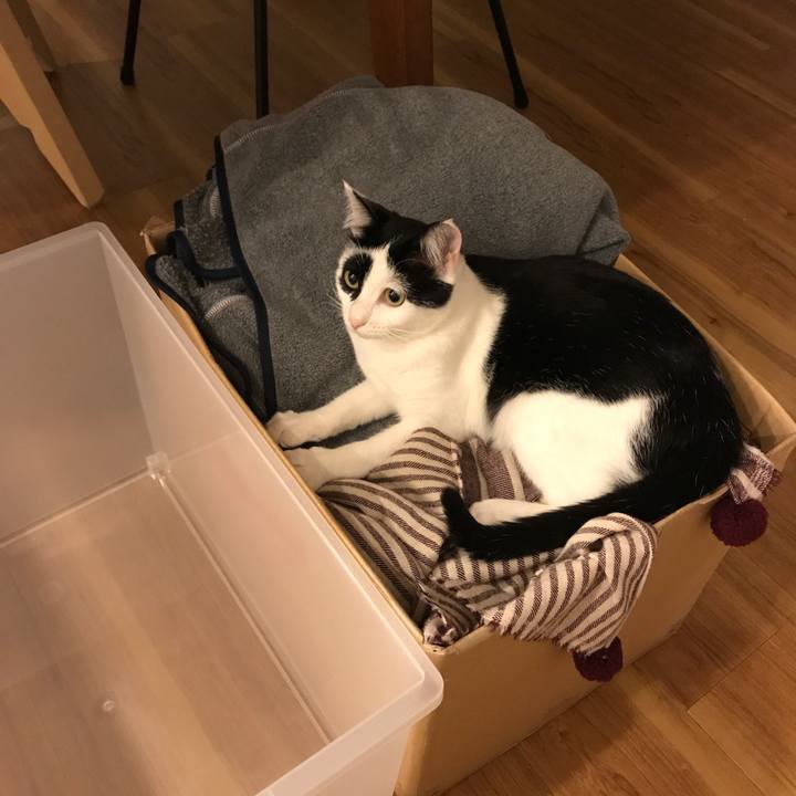 36b51ef7 6db3 423b b5cf dba1adc515a3