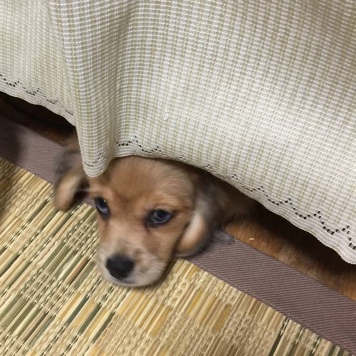 36b55fa1 14d7 4db7 a8ed 36daf55c2b20