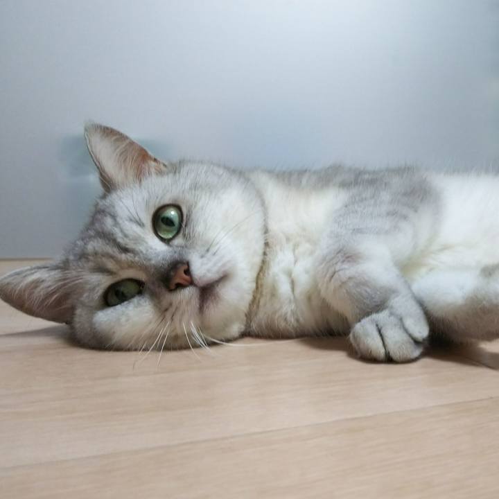 36b59930 cf28 4daf 9e6b 021413fc94d6