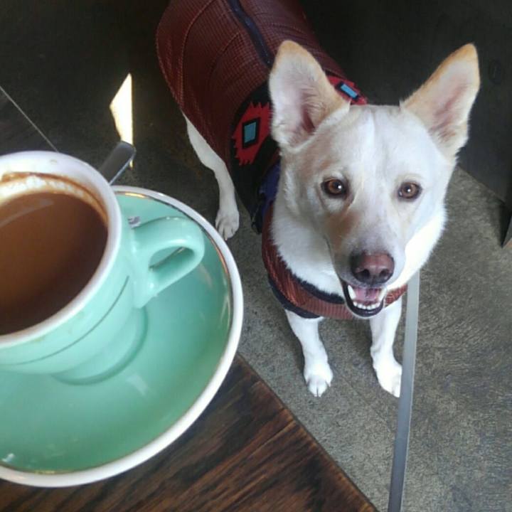 36b5cc61 98c2 4e0f 8824 85c3976ce597