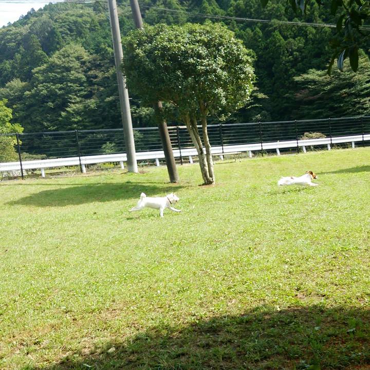 36b5e15b 01b2 43f1 b980 d2d5644a2f6a