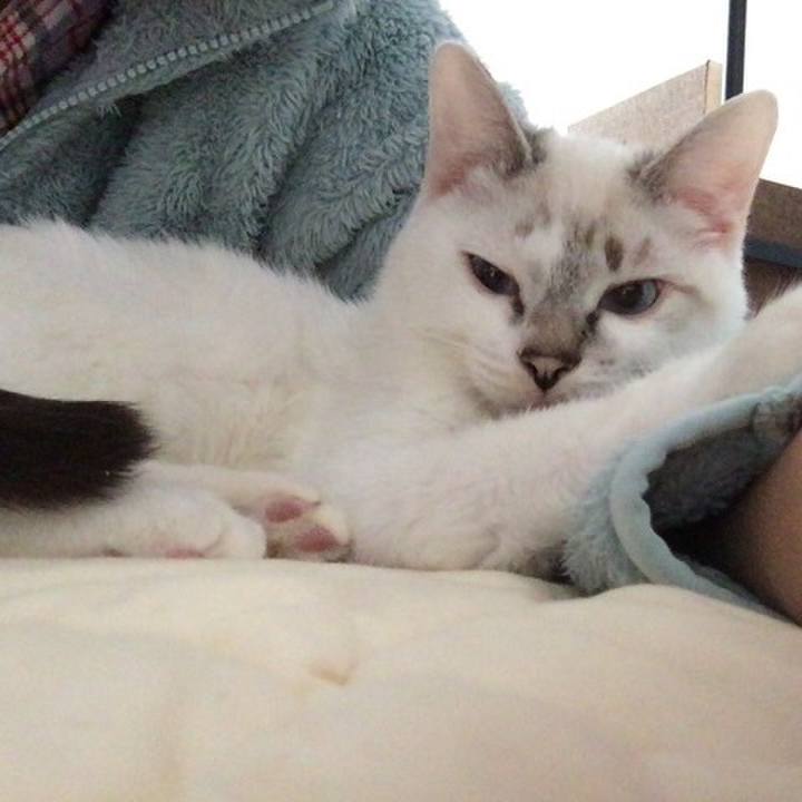 36b61403 864f 472f adc8 9fb6a782b1db