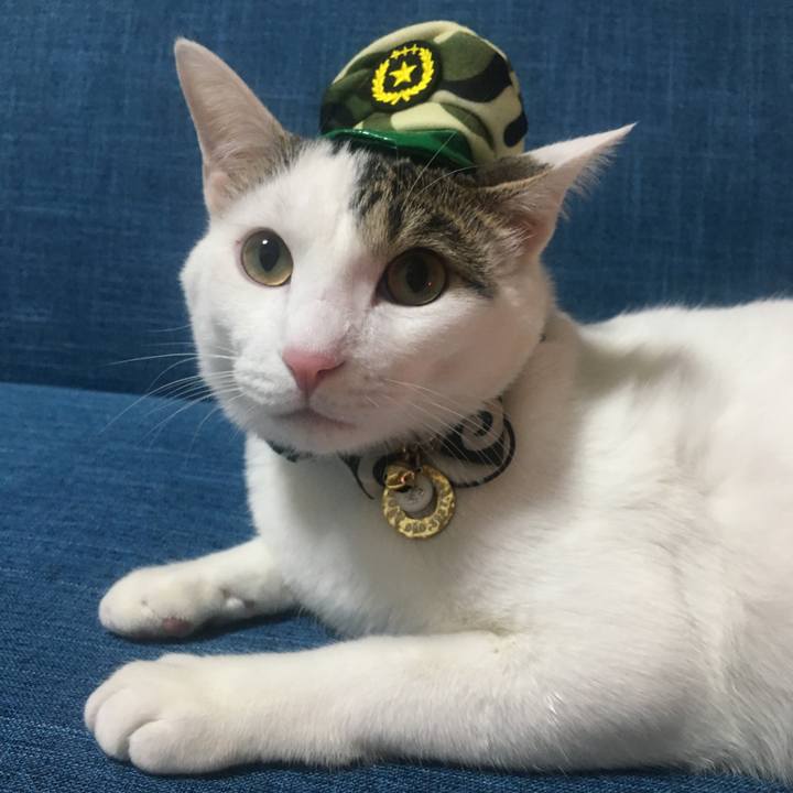 36b66958 b2ec 49dd 8caa 7cade91e0877