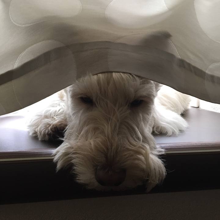 36b68cc7 c948 4de4 8b16 b29c1c22faf5