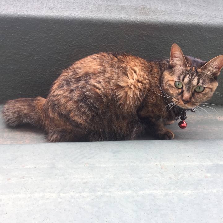 36b6cd8d 0a26 4483 a38a 8088cbc660ce